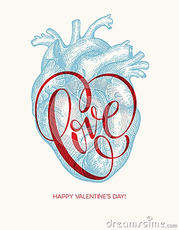 Valentines day card with Human heart and Love lettering. Vector Illustration