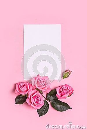 Valentines day gift blank and pink roses bouquet on pink background Stock Photo