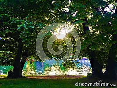 Valentino Park, trees and light in Turin city, Italy Stock Photo