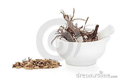 Valerian Herb Root Stock Photo