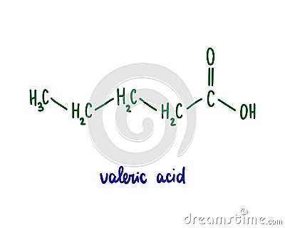 Valeric acid hand drawn vector formula chemical structure lettering blue green Vector Illustration