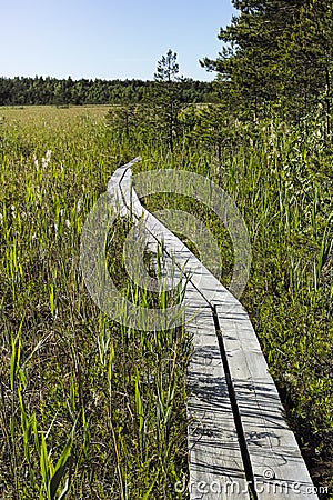 Valgejarve nature study trail in Estonia Stock Photo