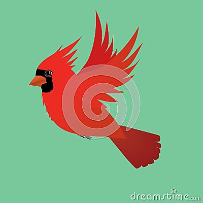 Flying male northern cardinal on a green background Vector Illustration