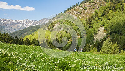 Vall de Sorteny nature park Andorra Pyrenees Editorial Stock Photo