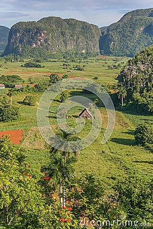 Valle Vinales in the west of Cuba Stock Photo