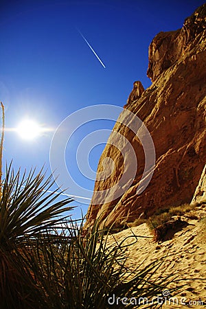 Desert sand dead tree contrail blue sky background Valley of fire nevada state, america Stock Photo