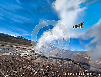 Valley of Geysers in the Atacama Desert Stock Photo