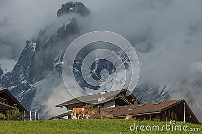 In the valley of Grindelwald, Switzerland Stock Photo
