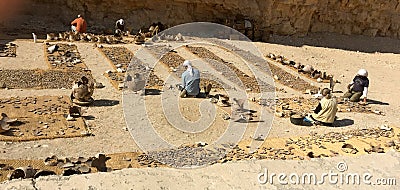 Valley of the Kings Luxor Egypt archaeologists working with prehistoric pottery shard identification and assembly Editorial Stock Photo