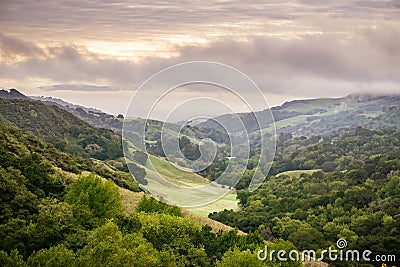 Valley in Las Trampas Regional Wilderness Park on a cloudy day, Contra Costa county, East San Francisco bay, California Stock Photo