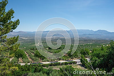 Valley and Olive Groves view with Sierra Magina Mountains - Ubeda, Jaen, Spain Stock Photo