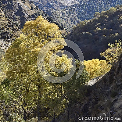 Valley of the river Genil in the path of the Sierra Nevada Stock Photo