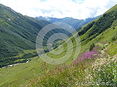 Valley in the high Caucasus in Georgia. Stock Photo