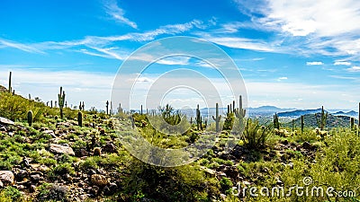 The Valley of the Sun with the city of Phoenix viewed from Usery Mountain Reginal Park Stock Photo