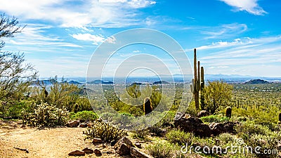 The Valley of the Sun with the city of Phoenix viewed from Usery Mountain Reginal Park Stock Photo