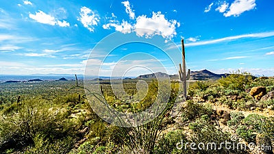 The Valley of the Sun with the city of Phoenix viewed from Usery Mountain Reginal Park Stock Photo