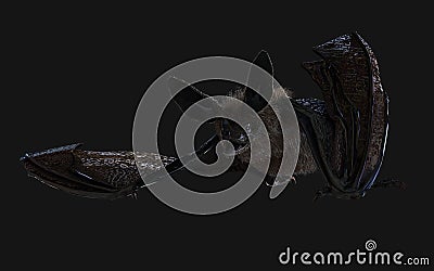 Vampire bat swooping with clipping path. Stock Photo
