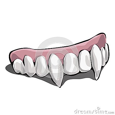 Vampire teeth on white background. Vector illustration. Vector Illustration