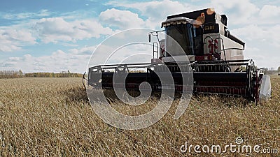 Van het de landbouwgraangewas van de maaidorseroogst het gebied van het de cultuurlandbouwbedrijf stock footage Van het de landbouwgraangewas van de maaidorseroogst het gebied van het de cultuurlandbouwbedrijf stock footage
