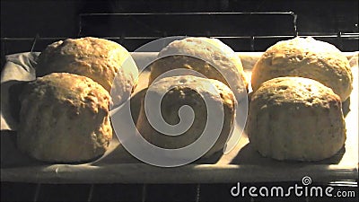 Van het het huisbaksel van de tijdtijdspanne scones van het kokencakes de kokende in oven stock video Van het het huisbaksel van de tijdtijdspanne scones van het kokencakes de kokende in oven stock video