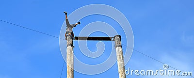 Log climbing at the Grouse Mountain Lumberjack demonstration Editorial Stock Photo