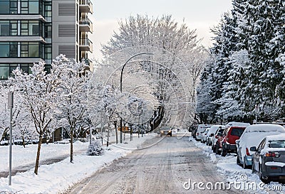 VANCOUVER, CANADA - February 13, 2019: urban street with cars and trees in snow Editorial Stock Photo