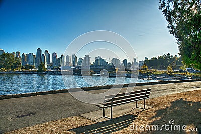 Vancouver Stanley Park Bench Stock Photo