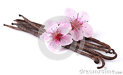 Vanilla with almond flowers Stock Photo