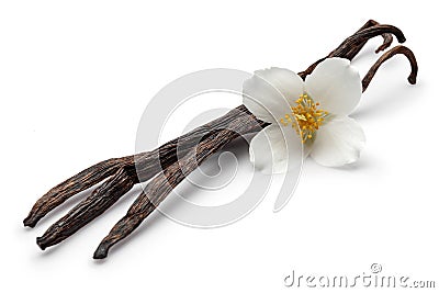 Vanilla bean with jasmine flowers isolated Stock Photo