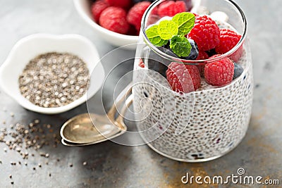 Vanilla chia pudding with fresh berries Stock Photo