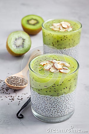 Vanilla chia pudding with kiwi, layered dessert, concrete background Stock Photo