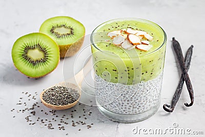 Vanilla chia pudding with kiwi, layered dessert, horizontal Stock Photo