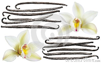 Vanilla flower stick element set isolated Stock Photo