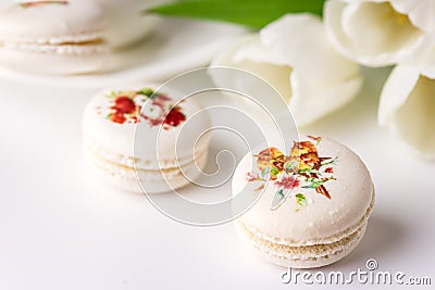 Vanilla French Beautiful White Macarons on White Background Cup of Coffee Beautiful Dessert Modern Dessert Stock Photo