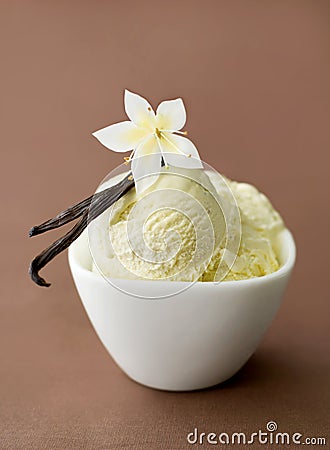 Vanilla On Ice-cream In A Bowl Royalty Free Stock Images 