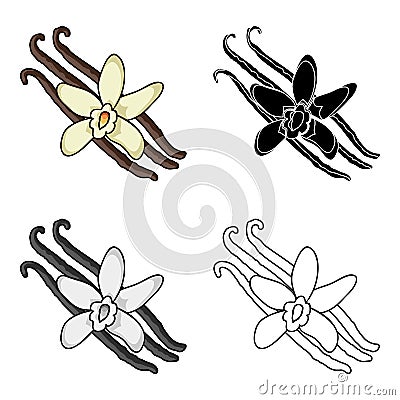 Vanilla icon in cartoon style isolated on white background. Herb an spices symbol stock vector illustration. Vector Illustration