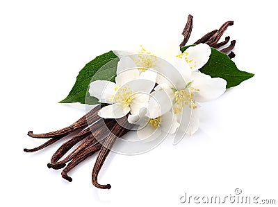 Vanilla with jasmine Stock Photo