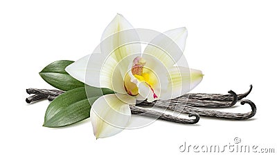 Vanilla with leaves horizontal pod isolated on white Stock Photo