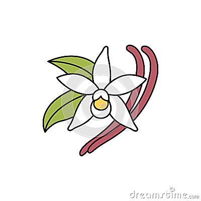 Vanilla olor line icon. Essential oils. Pictogram for web page, mobile app, promo. Vector Illustration