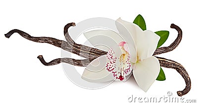 Vanilla pink flower and sticks or pod isolated on white background as packing design element. Natural aroma spice for food Stock Photo