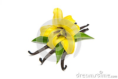 Vanilla pods and orchid flower isolated on white background Stock Photo