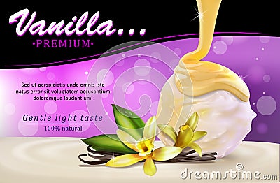 Vanilla spice with flower and leaves. A ball of ice cream with a dash of sauce. Cartoon Illustration
