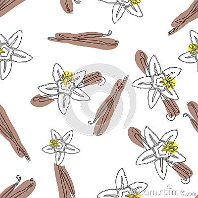 Vanilla stick and flower vector hand drawn seamless pattern. Flavor vanilla blossom illustration Vector Illustration