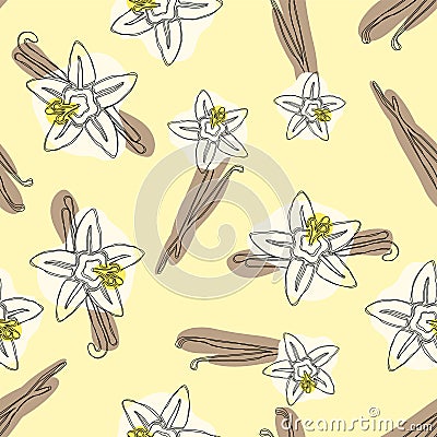 Vanilla stick and flower vector hand drawn seamless pattern. Flavor vanilla blossom illustration Vector Illustration