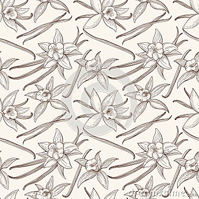 Vanilla stick and flower vector hand drawn seamless pattern Vector Illustration