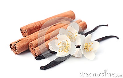 Vanilla sticks and cinnamon Stock Photo