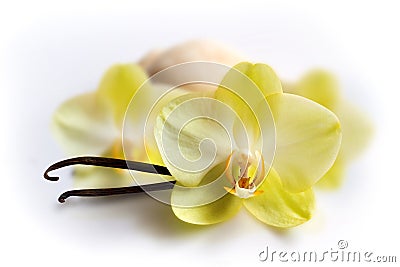 Vanilla sticks with flower and ice-cream Stock Photo