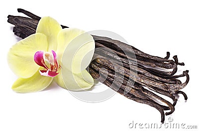 Vanilla sticks with a flower. Stock Photo