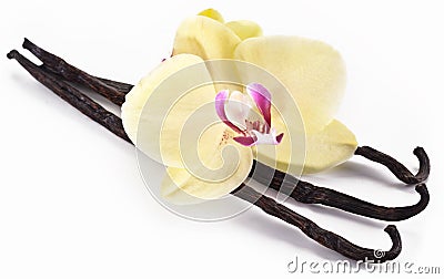 Vanilla sticks with a flower. Stock Photo