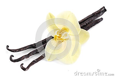 Vanilla sticks with a flower. Stock Photo